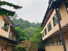 -乐领拈花溪·林涧食韵