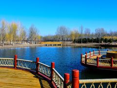 -东郊湿地公园