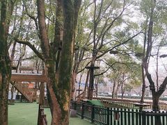 -WeLope紫金山探险公园