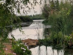 -呈贡滇池生态湿地公园