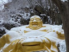 -紫金山山顶公园