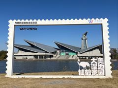 -盐城丹顶鹤湿地生态旅游区