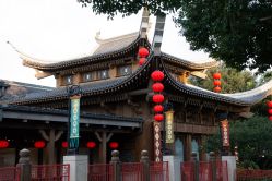 -翱翔飞越地平线