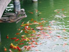 -茂陵博物馆