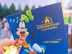 -上海迪士尼度假区