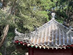 -长春市南湖公园