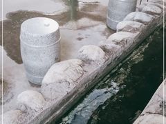 -特种渔场