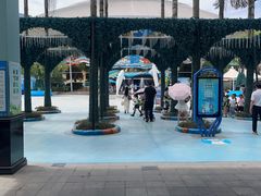 -海合安成都极地海洋公园
