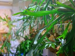 -Rabbit Cafe私房西餐甜点咖啡(栖霞路店)