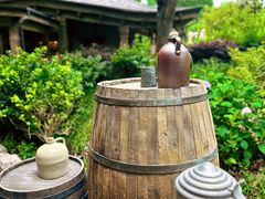 -Tangled Tree Tavern 老藤树食栈
