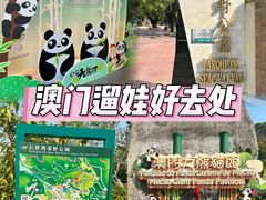 -石排湾郊野公园