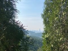 -佛慧山