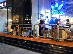 -阿迪达斯(武林银泰三叶草店)