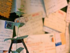 -参差咖啡(水果湖公园店)