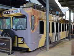 -威勒比开放式动物园