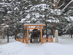 -北海道神宫