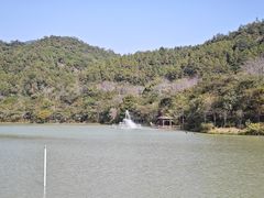 -广州白江湖森林公园