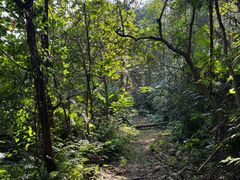 -佛山市三水区大南山森林公园