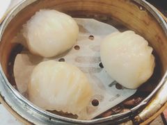 -糖朝(尖沙咀店)