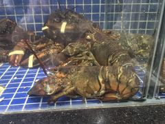 -明记海鲜大排档(巽寮湾店)