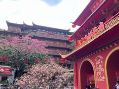 -越秀西湖花市(广州城市广场花卉店)
