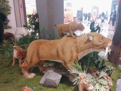 -IMON·HANSA潮玩玩偶毛绒玩具(通州万象汇店)