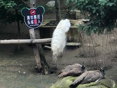 -哈尔滨北方森林动物园
