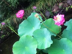 门面-解香楼(八盘岭路店)