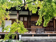 -常寂光寺