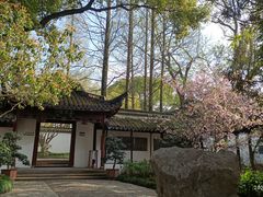 -上海醉白池公园
