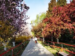 -元大都城垣遗址公园