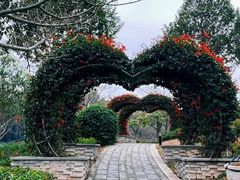-东莞植物园