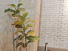 -必胜客(上海华谊新所店)