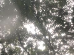 -碧水湾温泉