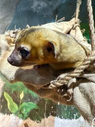 -Zoolung Zoolung动物主题公园(海信广场店)