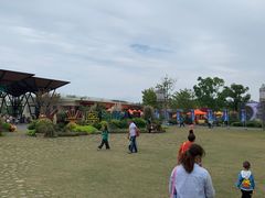 -上海长兴岛郊野公园