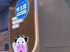 -一只酸奶牛(春熙路店)