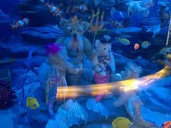 -成都泰迪熊博物馆