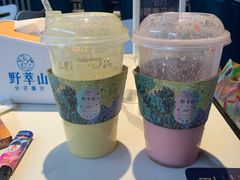 -野萃山·潮汕厚果汁(十亩地店)