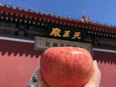 -天津大悲禅院