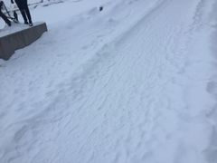 -滴血救世主教堂