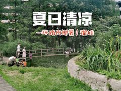 -成都市活水公园