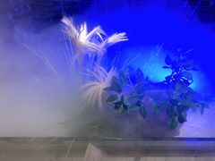 -大榕树下顺德菜(融创茂店)