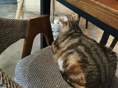 -咖法森林·咖啡  酒吧(天河店)