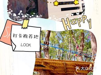 这个乐园有很刺激的树上探险可以玩