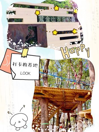 这个乐园有很刺激的树上探险可以玩