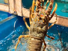 -鲜炉季港式打边炉(尚海湾店)