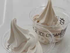高山乌龙冰淇淋-夻茶HUATEA(水晶郦城店)