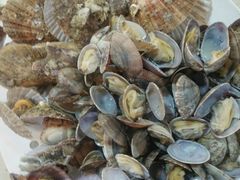 -港畔赶海蒸汽海鲜烧烤自助(仙螺岛店)