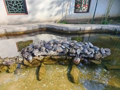 -红螺寺